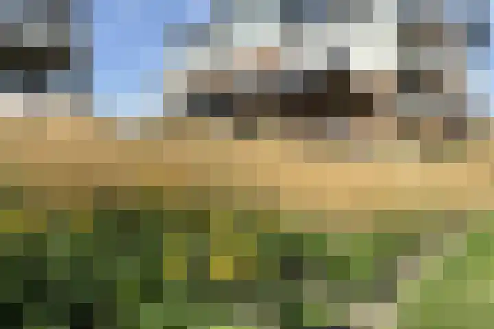 Parklaan 45 A Waddinxveen thumbnail 36