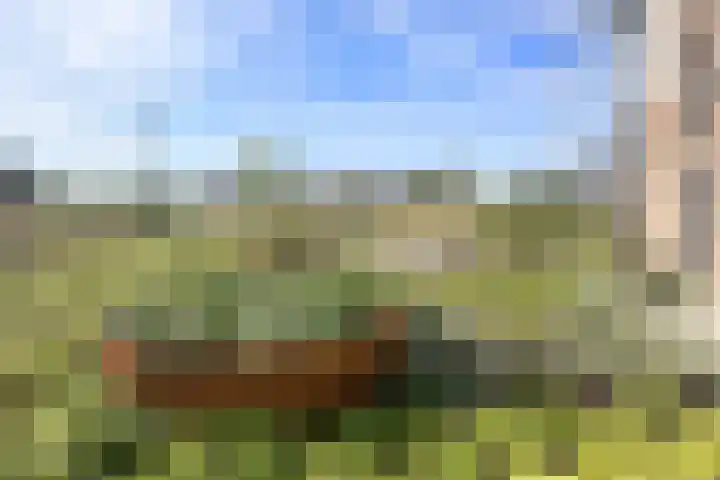 Parklaan 45 A Waddinxveen thumbnail 37