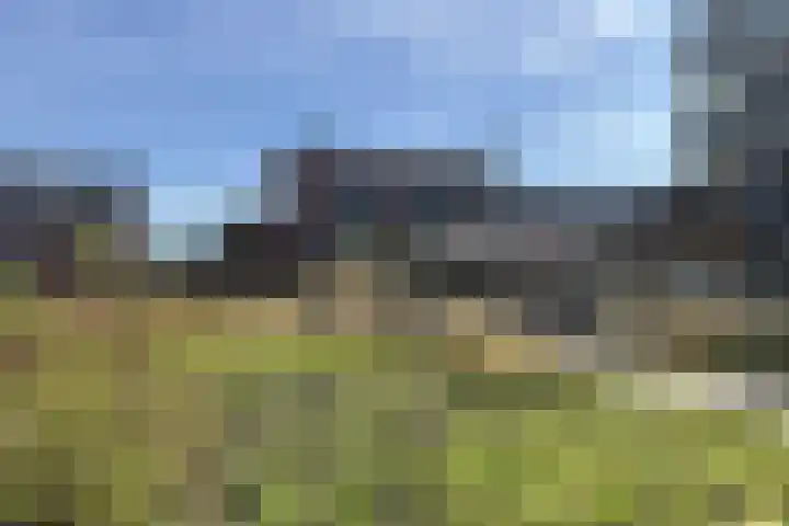 Parklaan 45 A Waddinxveen thumbnail 39