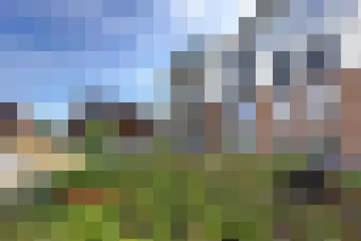 Parklaan 45 A Waddinxveen thumbnail 40