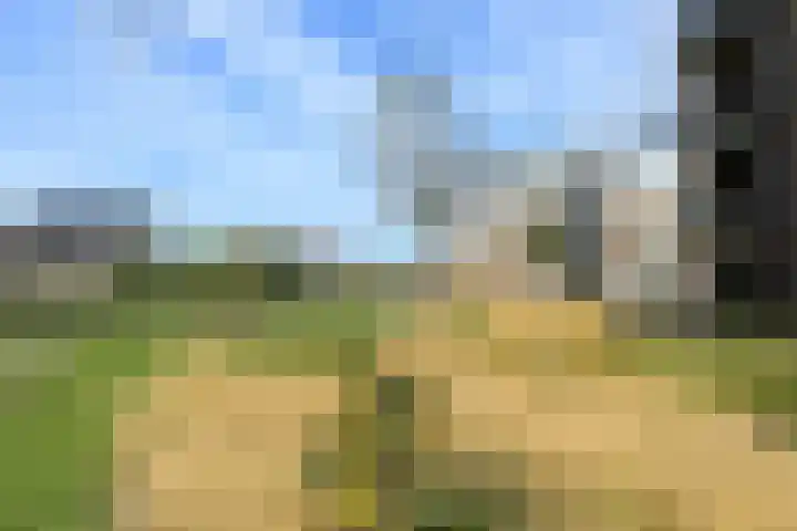 Parklaan 45 A Waddinxveen thumbnail 41