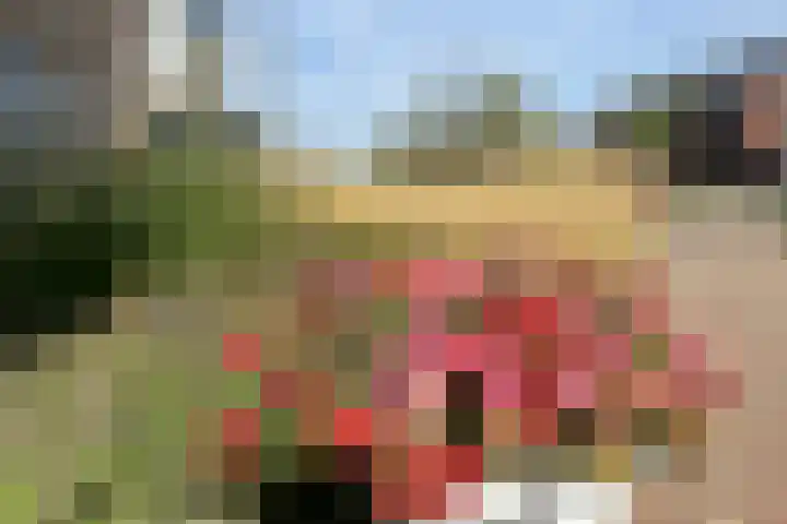 Parklaan 45 A Waddinxveen thumbnail 42