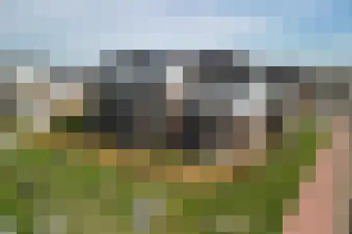Parklaan 45 A Waddinxveen thumbnail 44