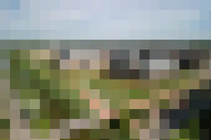 Parklaan 45 A Waddinxveen thumbnail 47