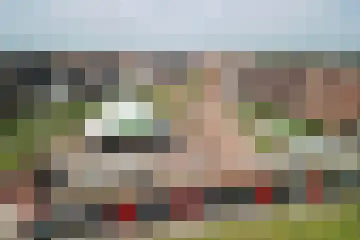 Parklaan 45 A Waddinxveen thumbnail 49