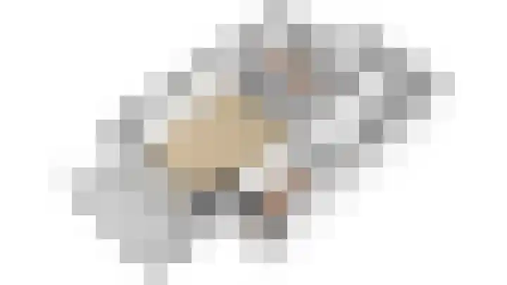 Parklaan 45 A Waddinxveen thumbnail 55