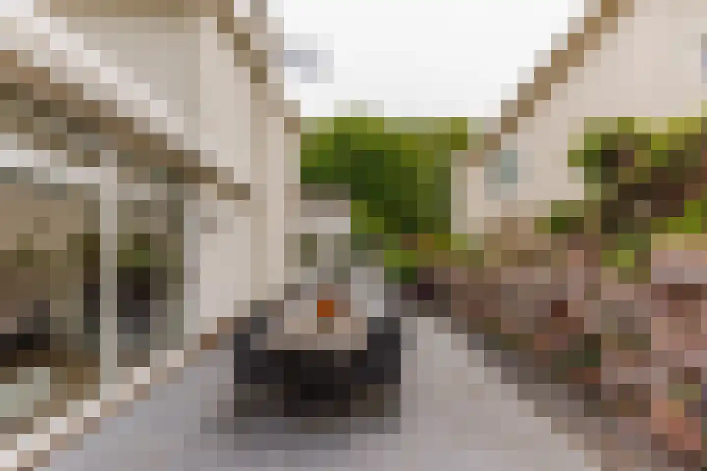 Parklaan 45 Roosendaal thumbnail 22