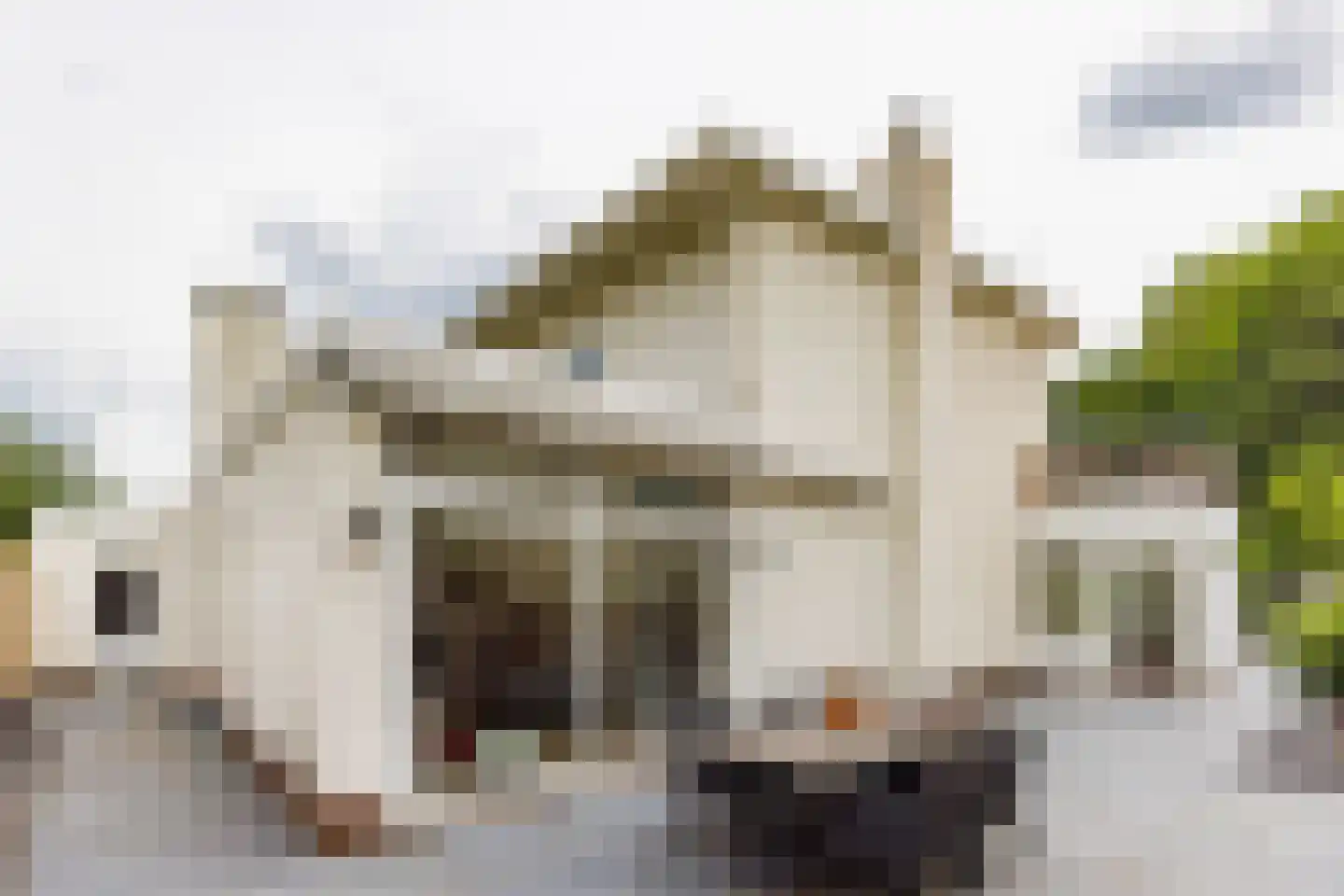 Parklaan 45 Roosendaal thumbnail 24