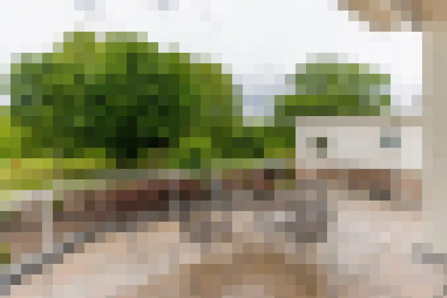 Parklaan 45 Roosendaal thumbnail 30