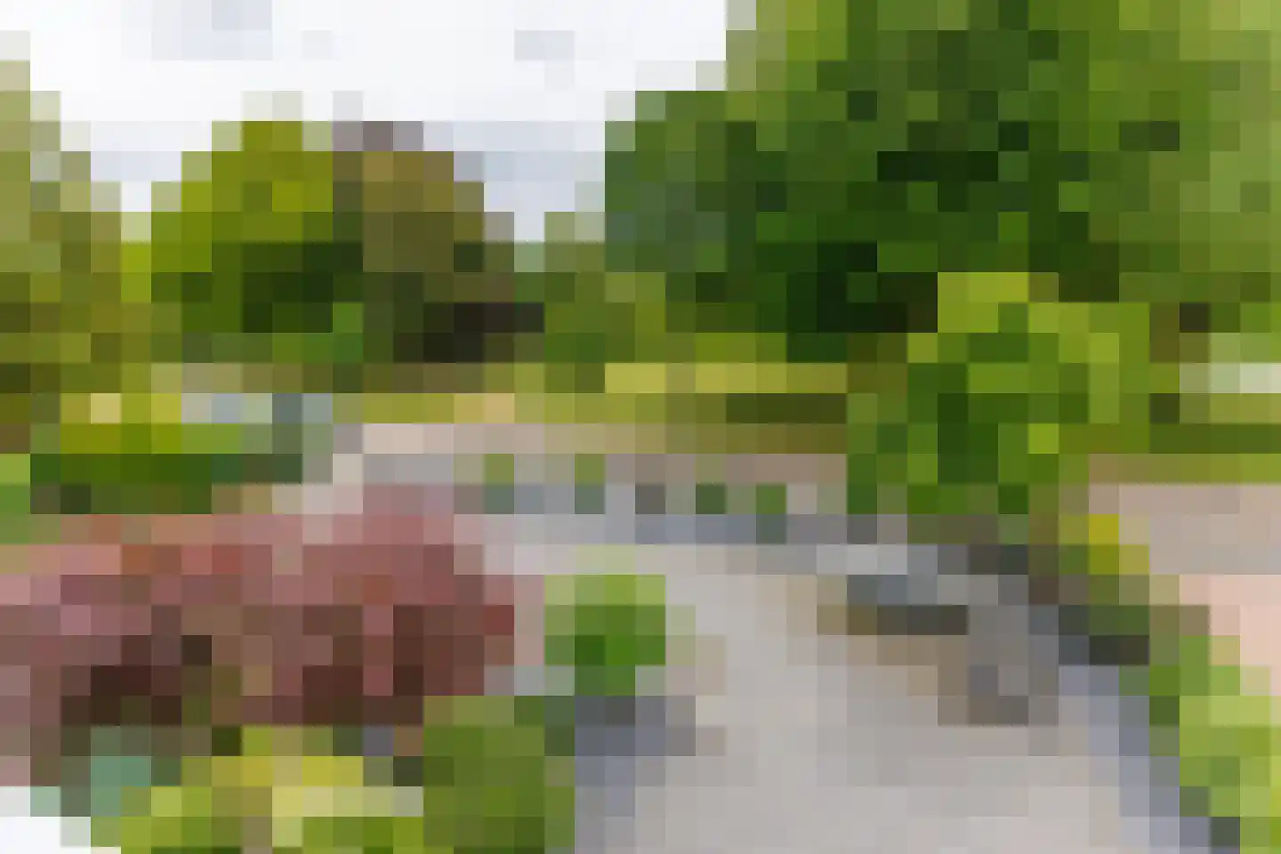 Parklaan 45 Roosendaal thumbnail 4