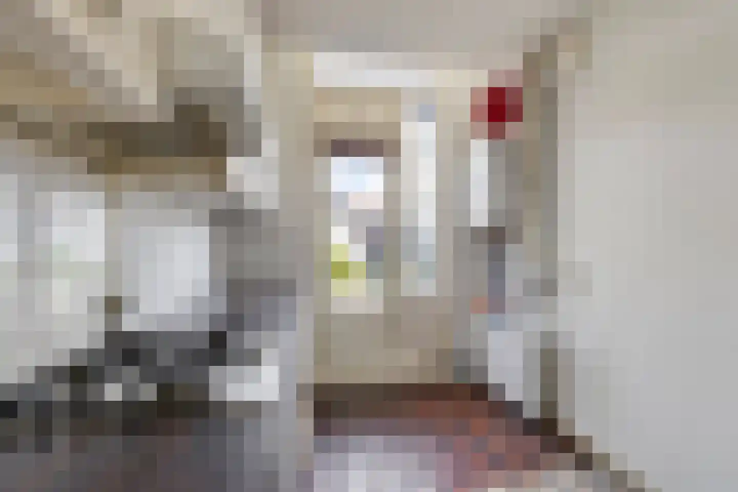 Parklaan 49 A Haarlem thumbnail 8