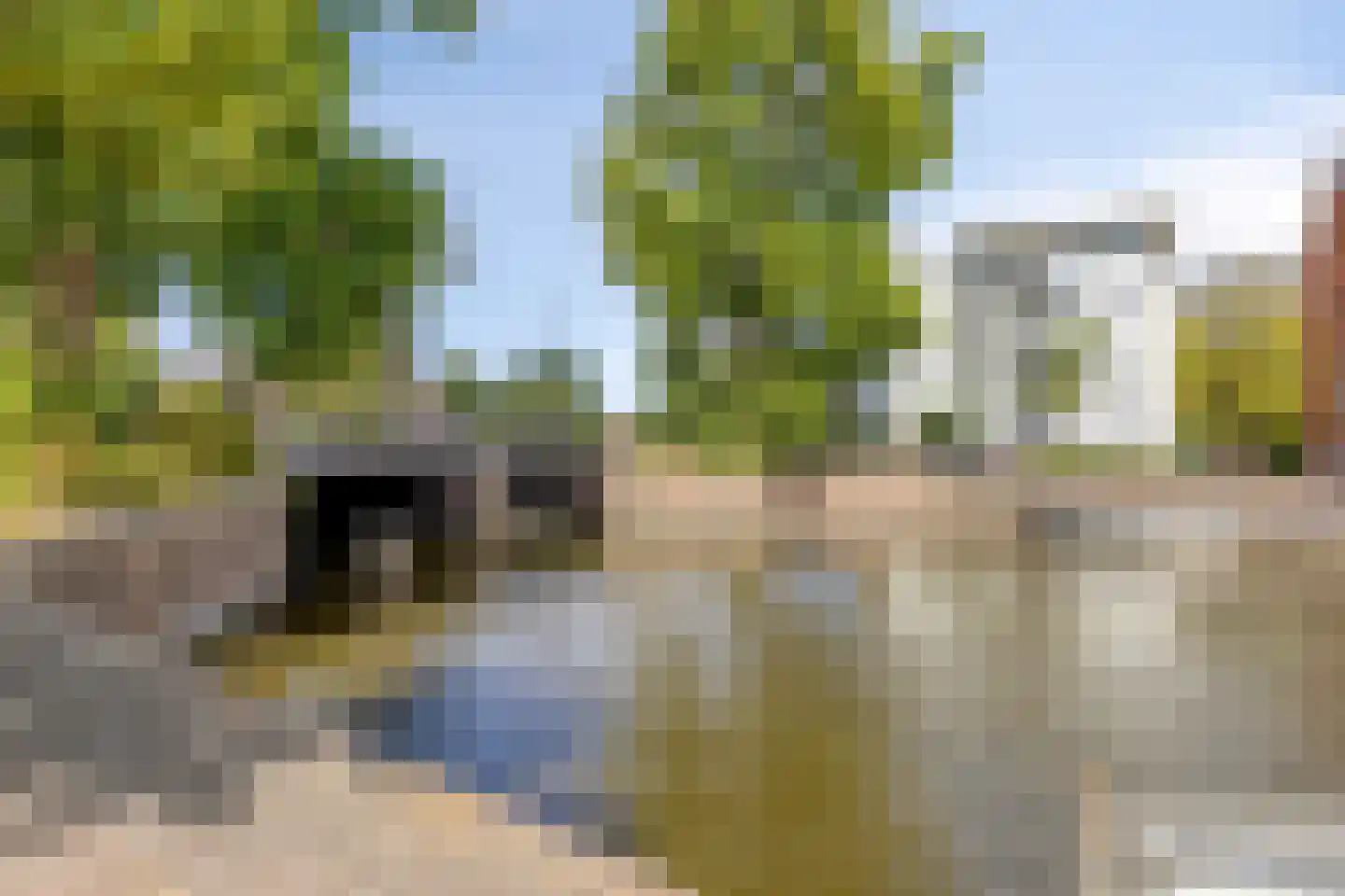 Parklaan 49 B Haarlem thumbnail 38