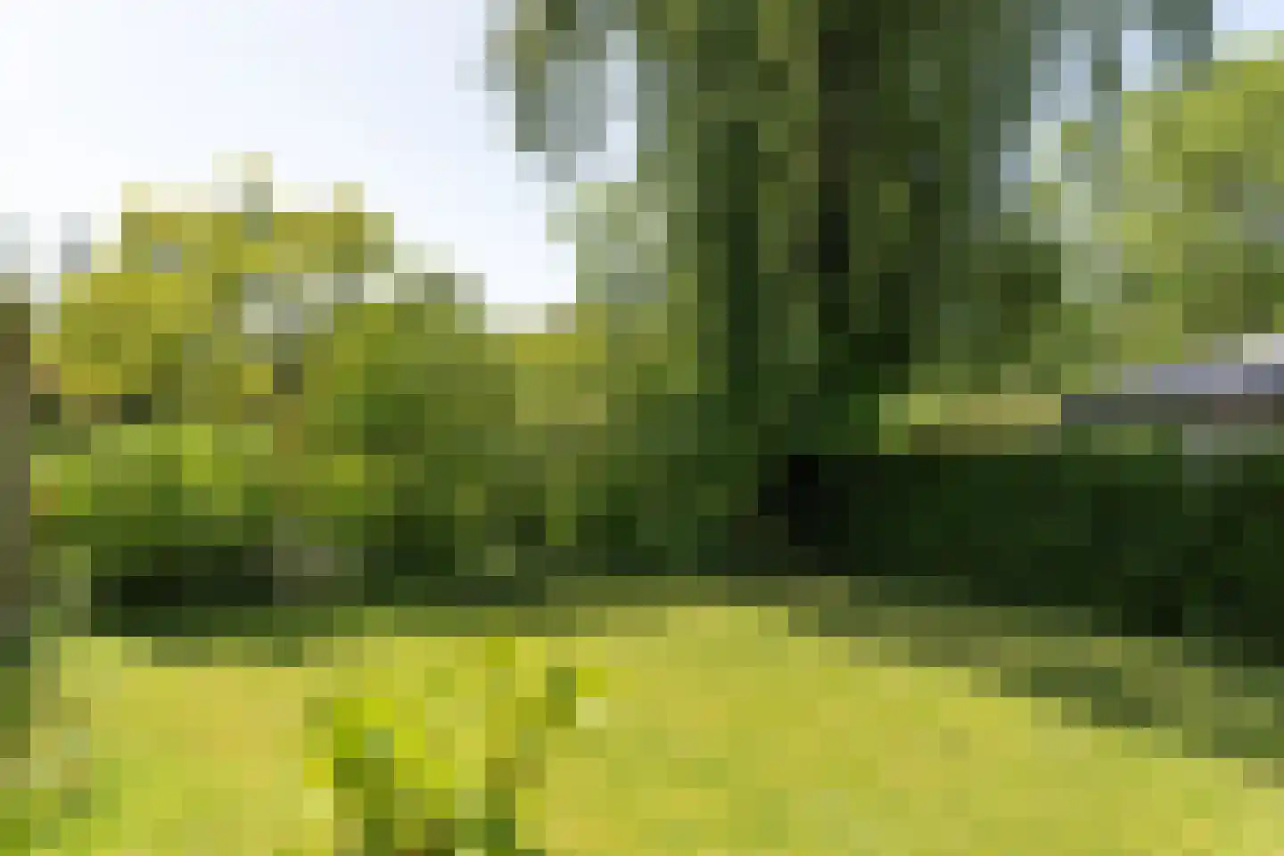 Parklaan 49 Franeker thumbnail 37