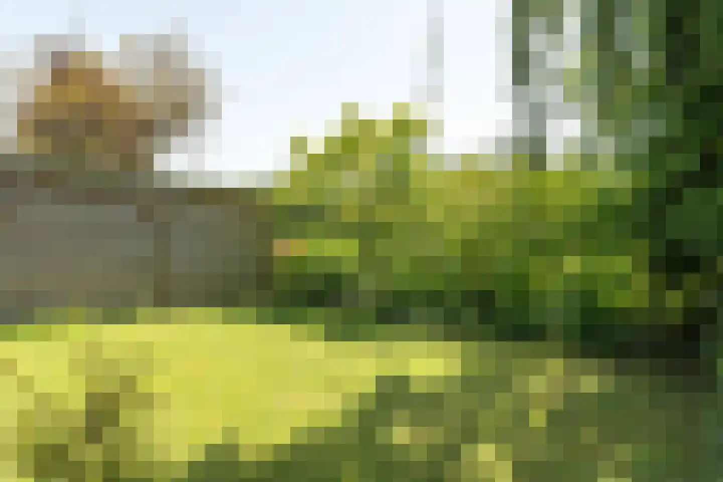 Parklaan 49 Franeker thumbnail 38