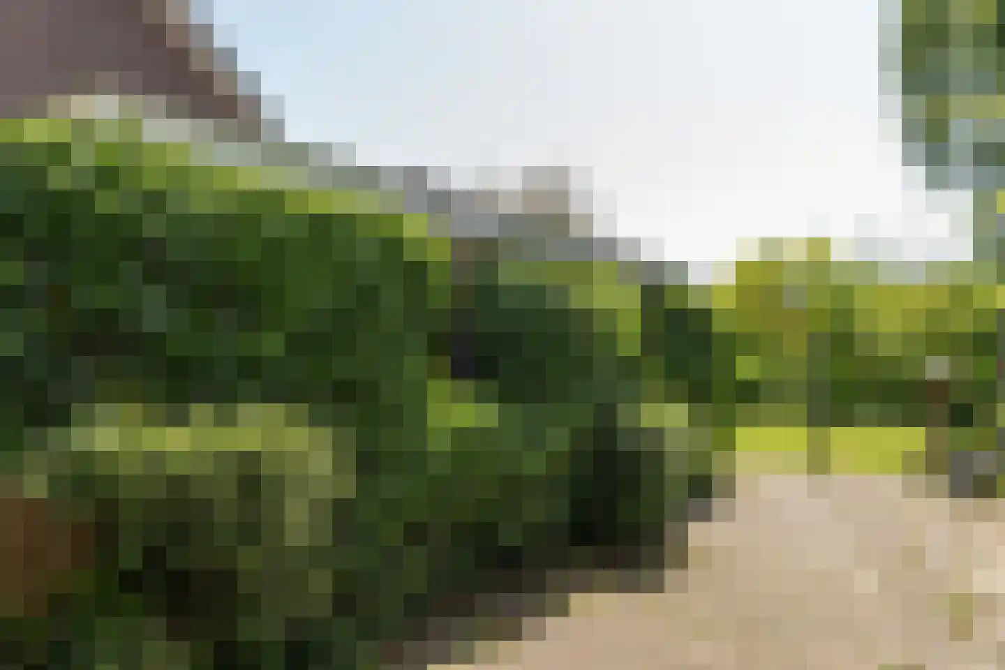 Parklaan 49 Franeker thumbnail 41