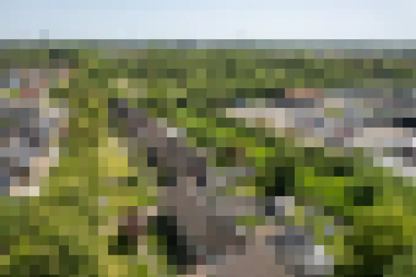 Parklaan 49 Franeker thumbnail 5