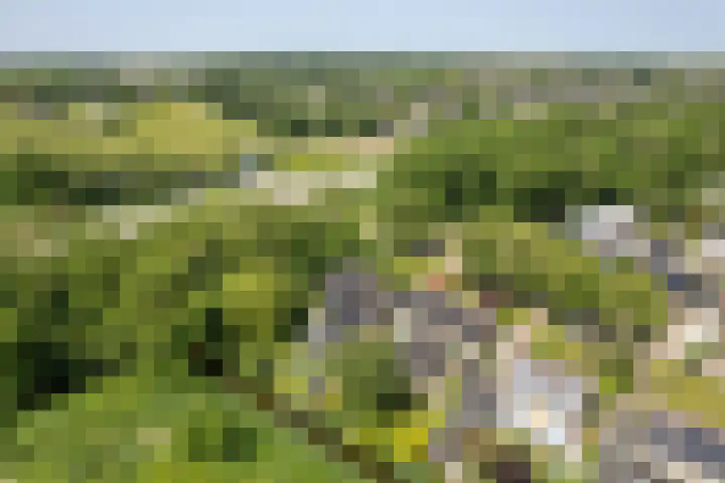 Parklaan 49 Franeker thumbnail 7