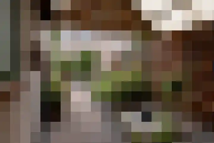 Parklaan 49 Nieuw-Buinen thumbnail 21