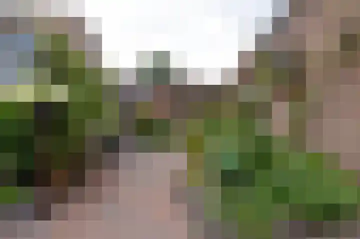 Parklaan 49 Nieuw-Buinen thumbnail 22