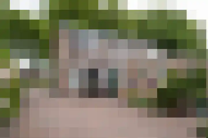 Parklaan 49 Nieuw-Buinen thumbnail 24