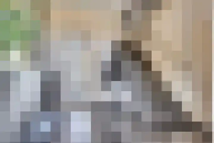 Parklaan 5 Melick thumbnail 11