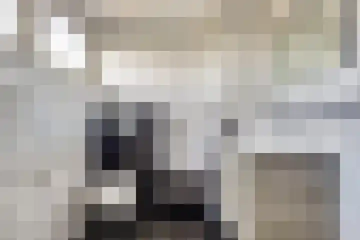 Parklaan 5 Melick thumbnail 31