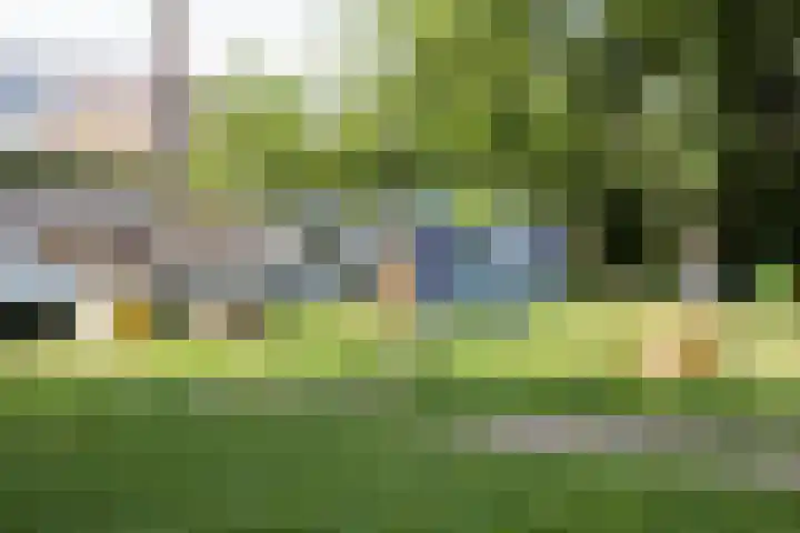 Parklaan 50 Haarlem thumbnail 20