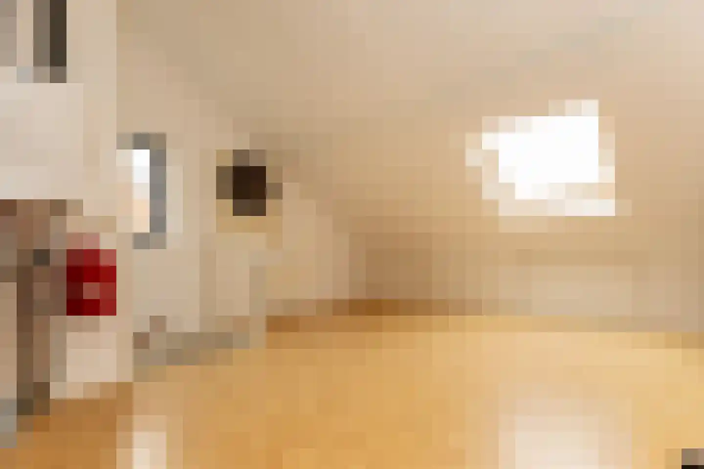 Parklaan 52 Abbekerk thumbnail 28