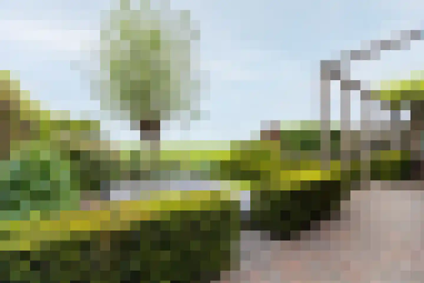 Parklaan 52 Abbekerk thumbnail 30