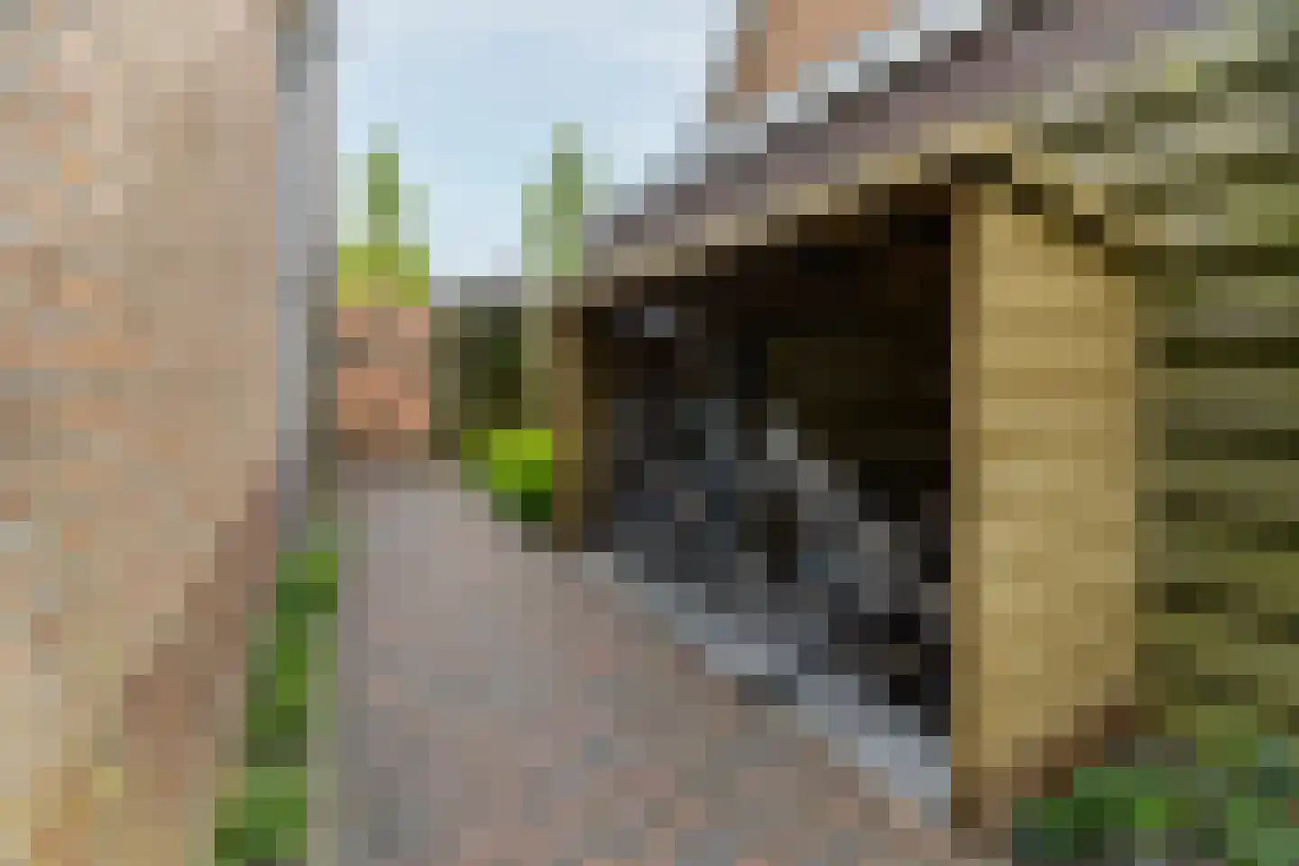 Parklaan 52 Abbekerk thumbnail 32