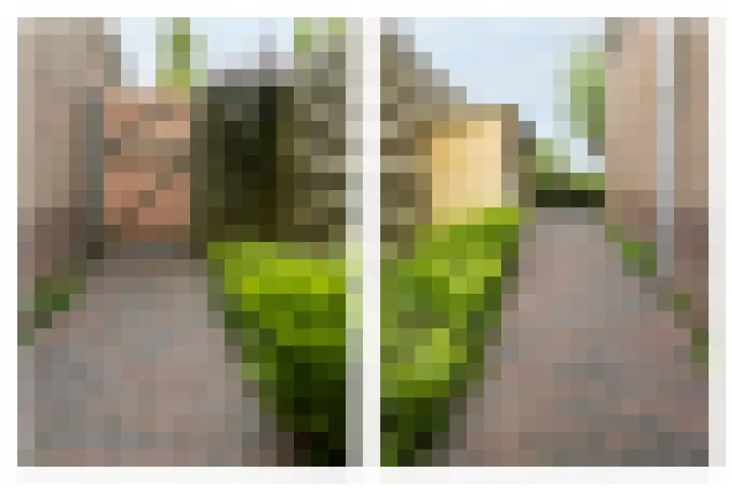 Parklaan 52 Abbekerk thumbnail 33