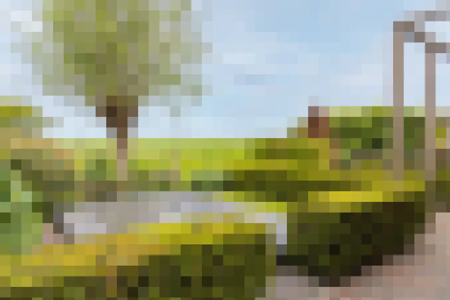 Parklaan 52 Abbekerk thumbnail 36