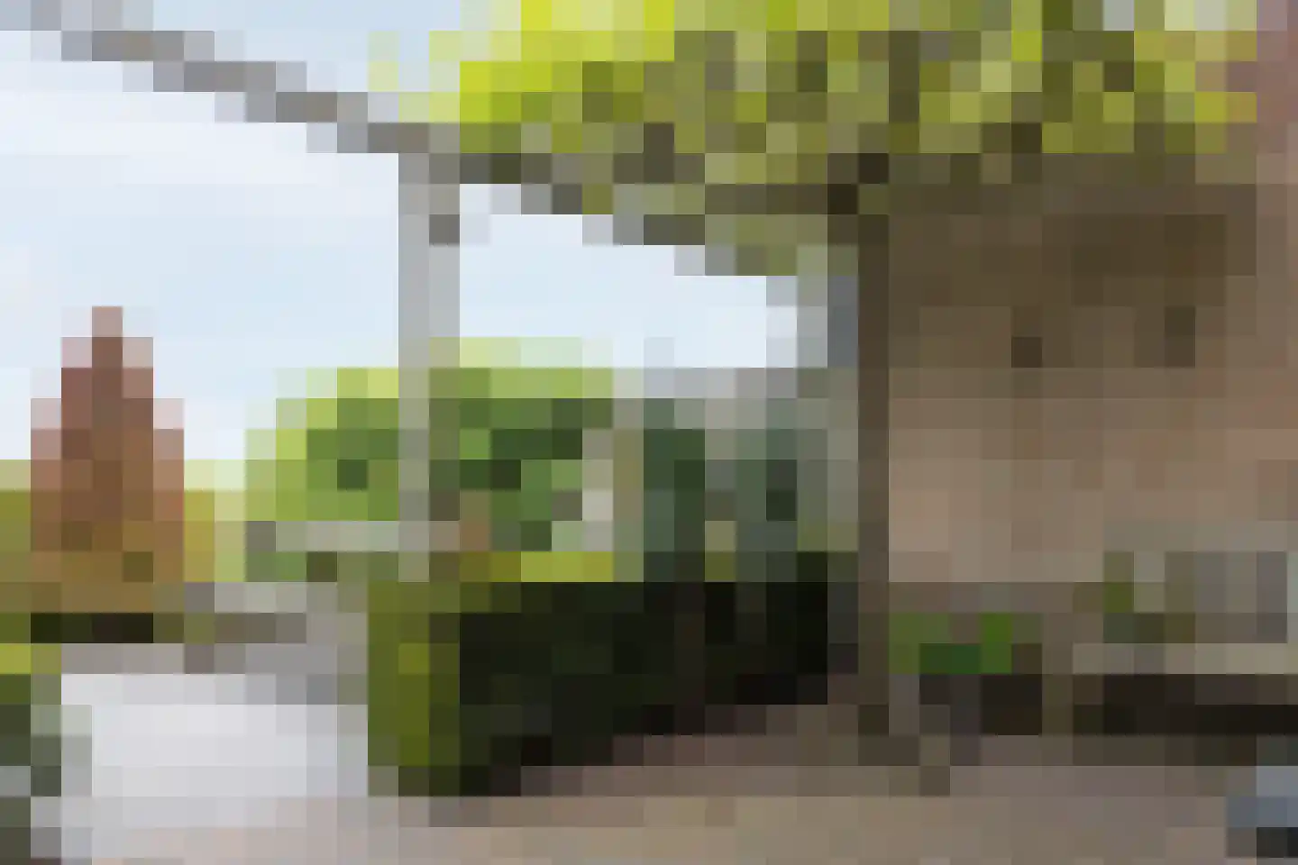 Parklaan 52 Abbekerk thumbnail 40