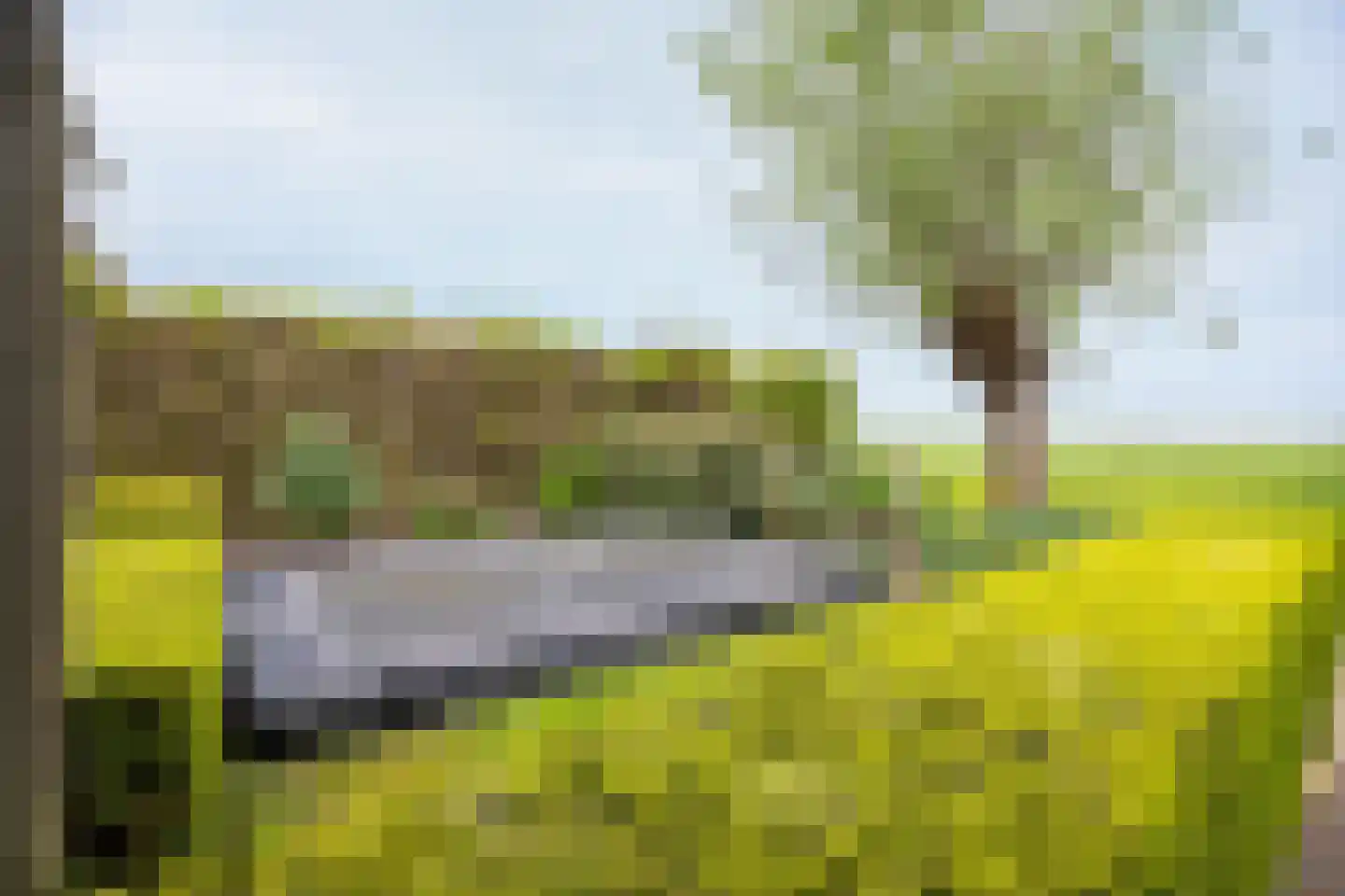 Parklaan 52 Abbekerk thumbnail 42