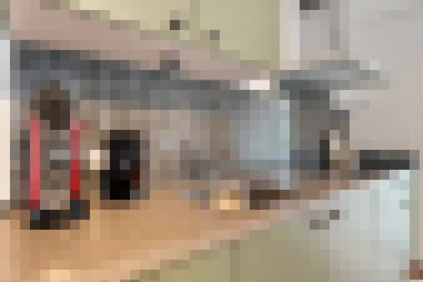 Parklaan 53 b Reuver thumbnail 14