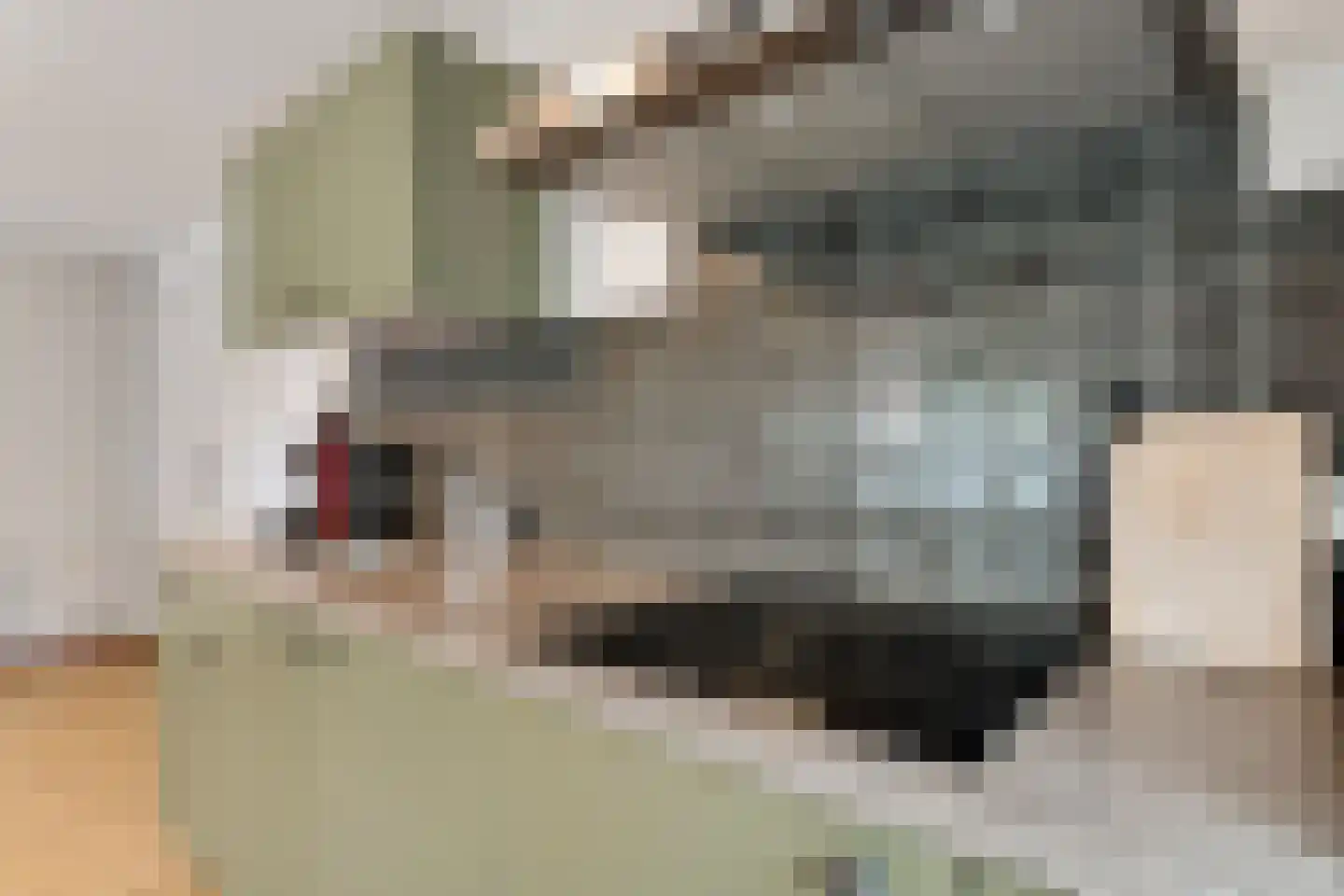 Parklaan 53 b Reuver thumbnail 15