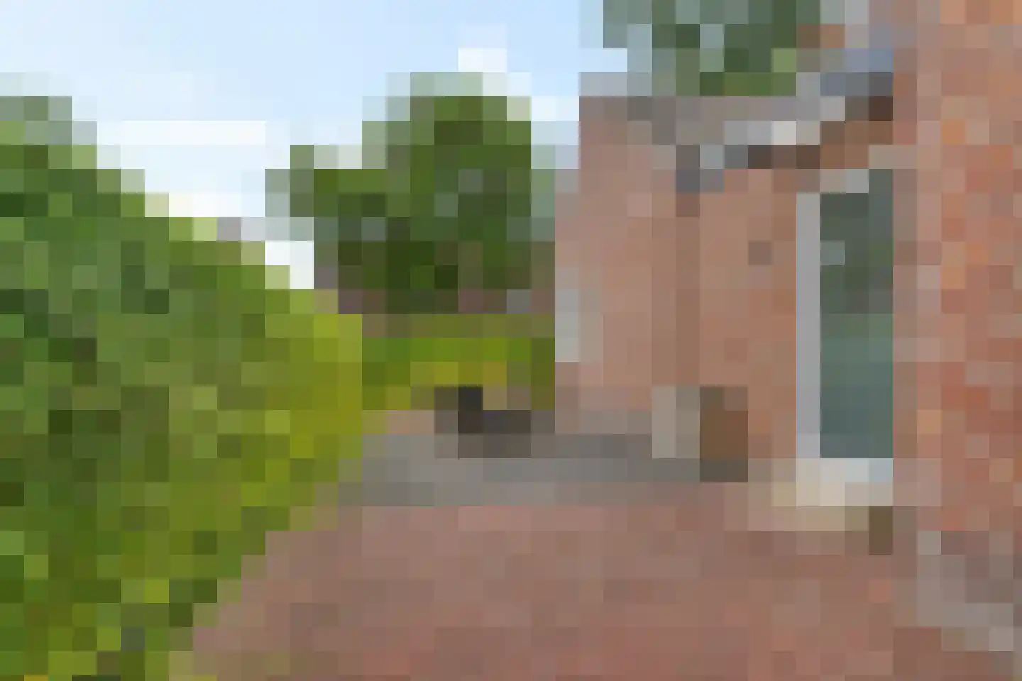 Parklaan 53 b Reuver thumbnail 29