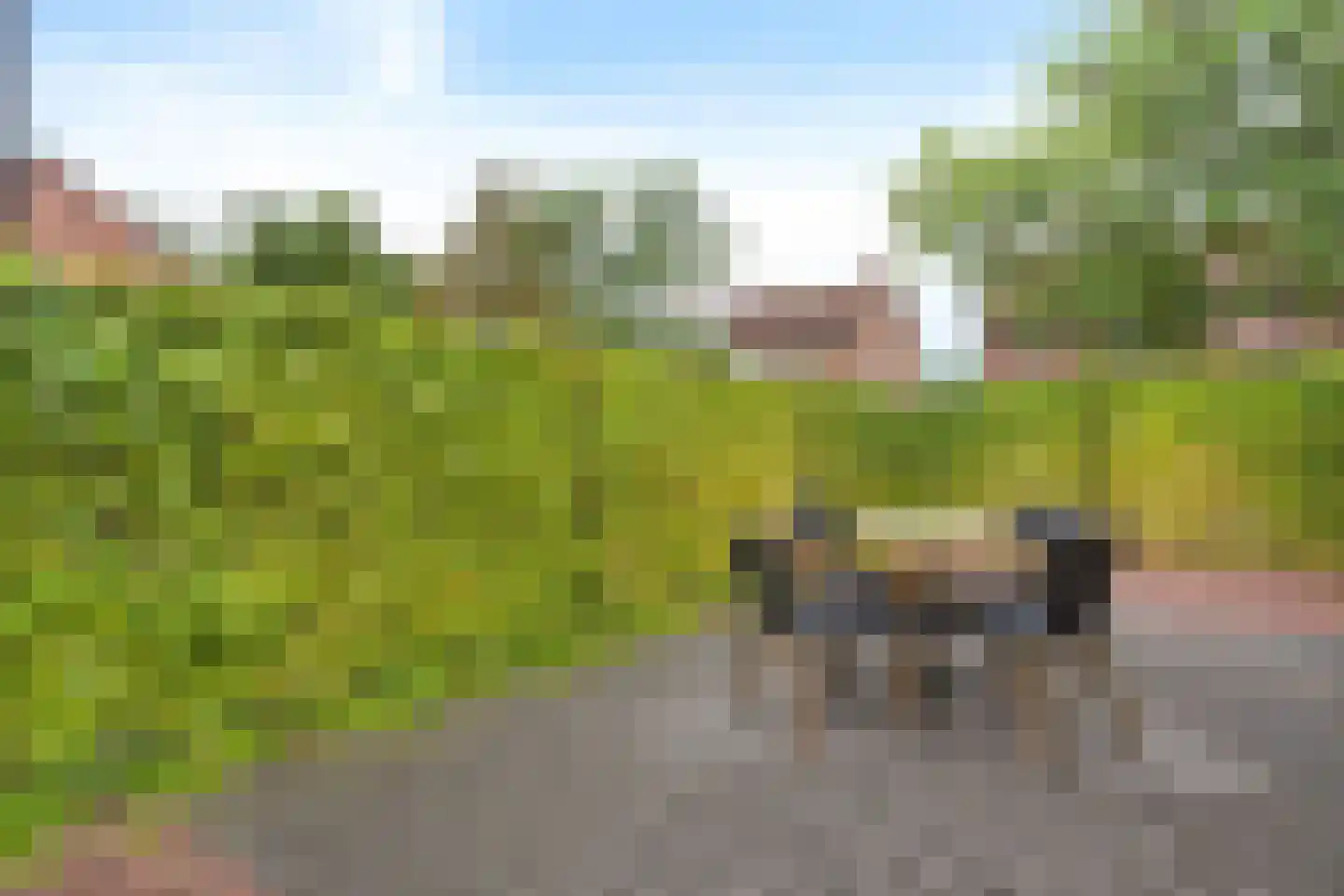 Parklaan 53 b Reuver thumbnail 31