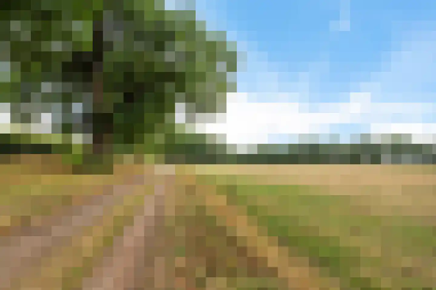 Parklaan 53 b Reuver thumbnail 32