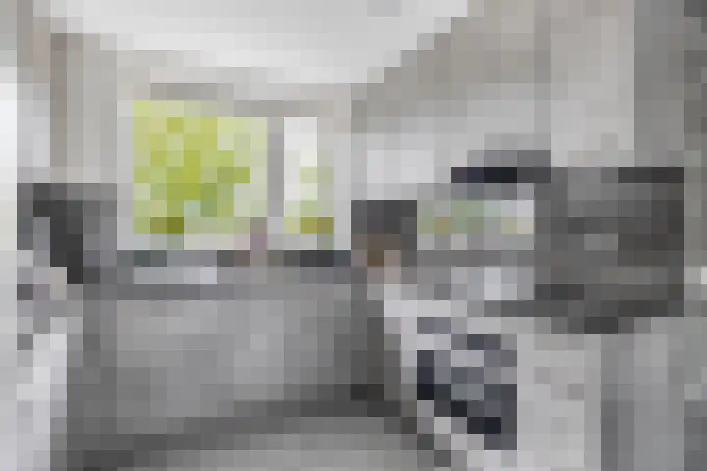 Parklaan 53 Pijnacker thumbnail 16