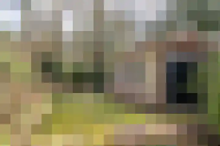Parklaan 54 Bilthoven thumbnail 33
