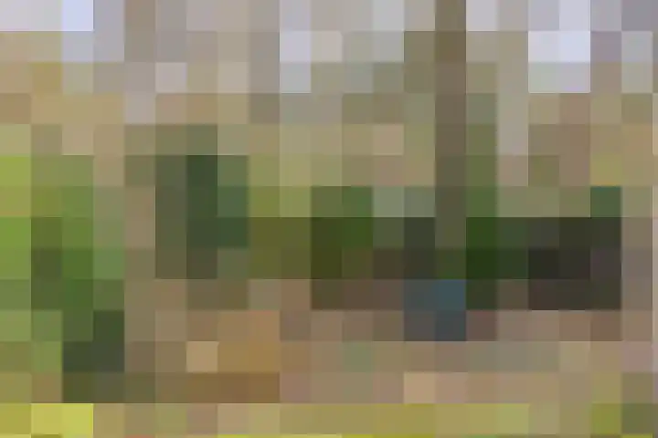 Parklaan 54 Bilthoven thumbnail 35
