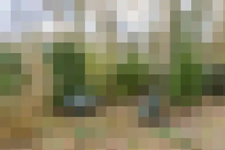 Parklaan 54 Bilthoven thumbnail 36