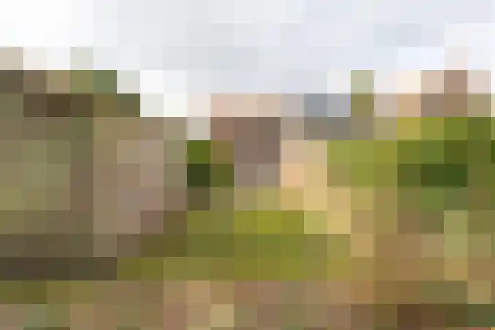 Parklaan 54 Bilthoven thumbnail 37
