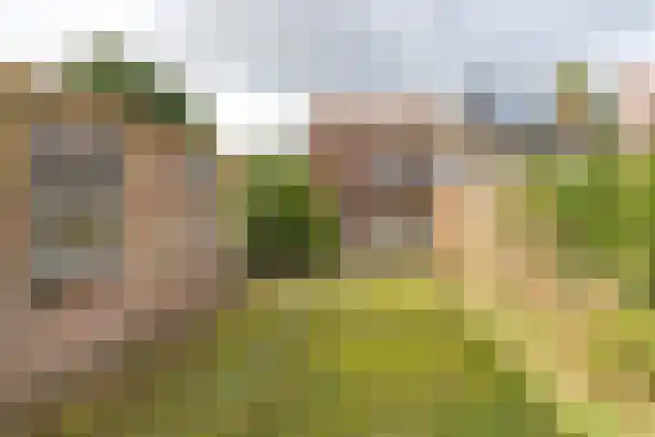 Parklaan 54 Bilthoven thumbnail 38