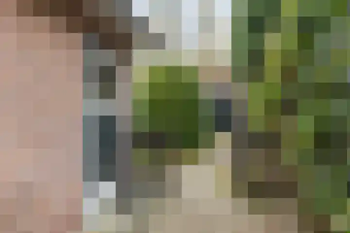 Parklaan 54 Bilthoven thumbnail 42