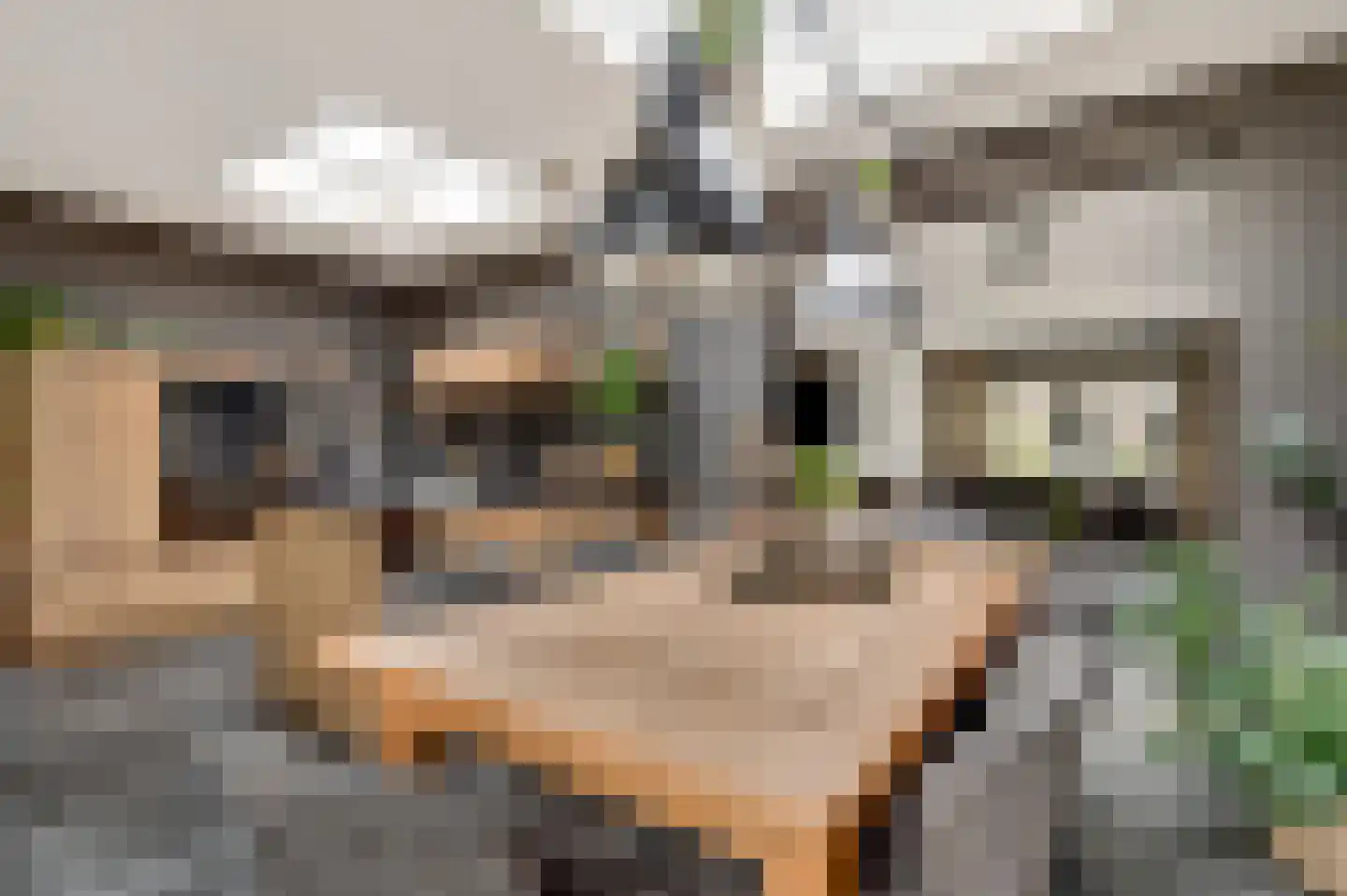 Parklaan 54 Stramproy thumbnail 19