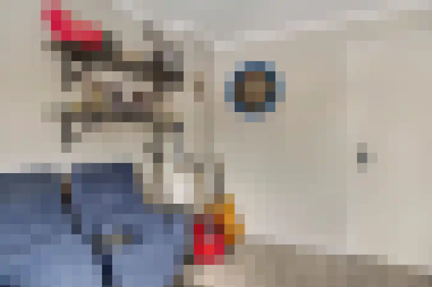 Parklaan 54 Stramproy thumbnail 25