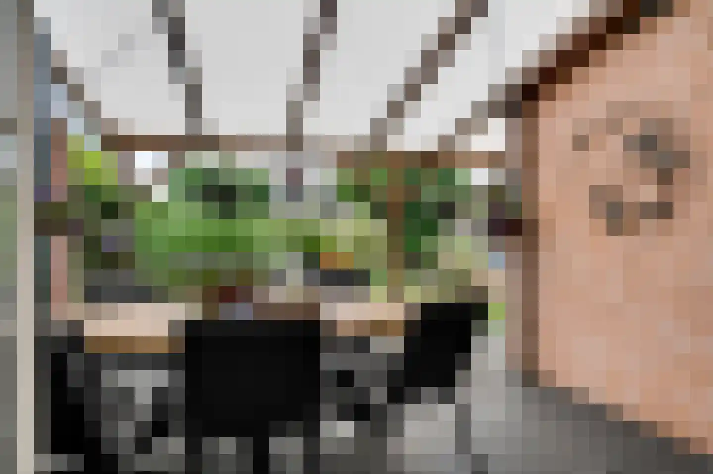 Parklaan 54 Stramproy thumbnail 34