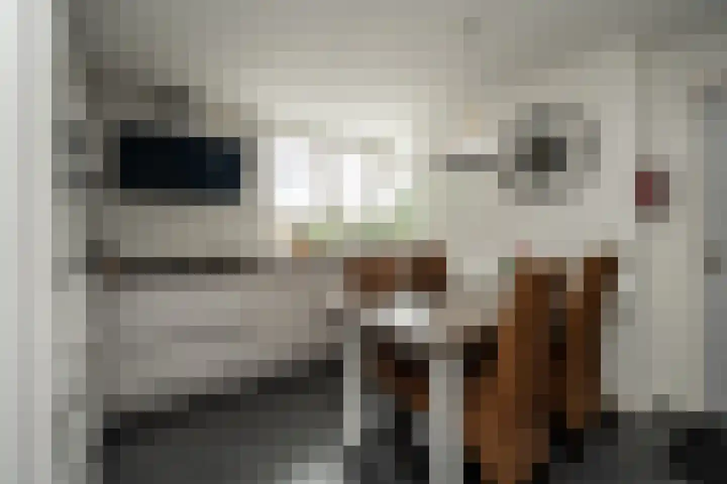 Parklaan 55 Nieuw-Buinen thumbnail 11